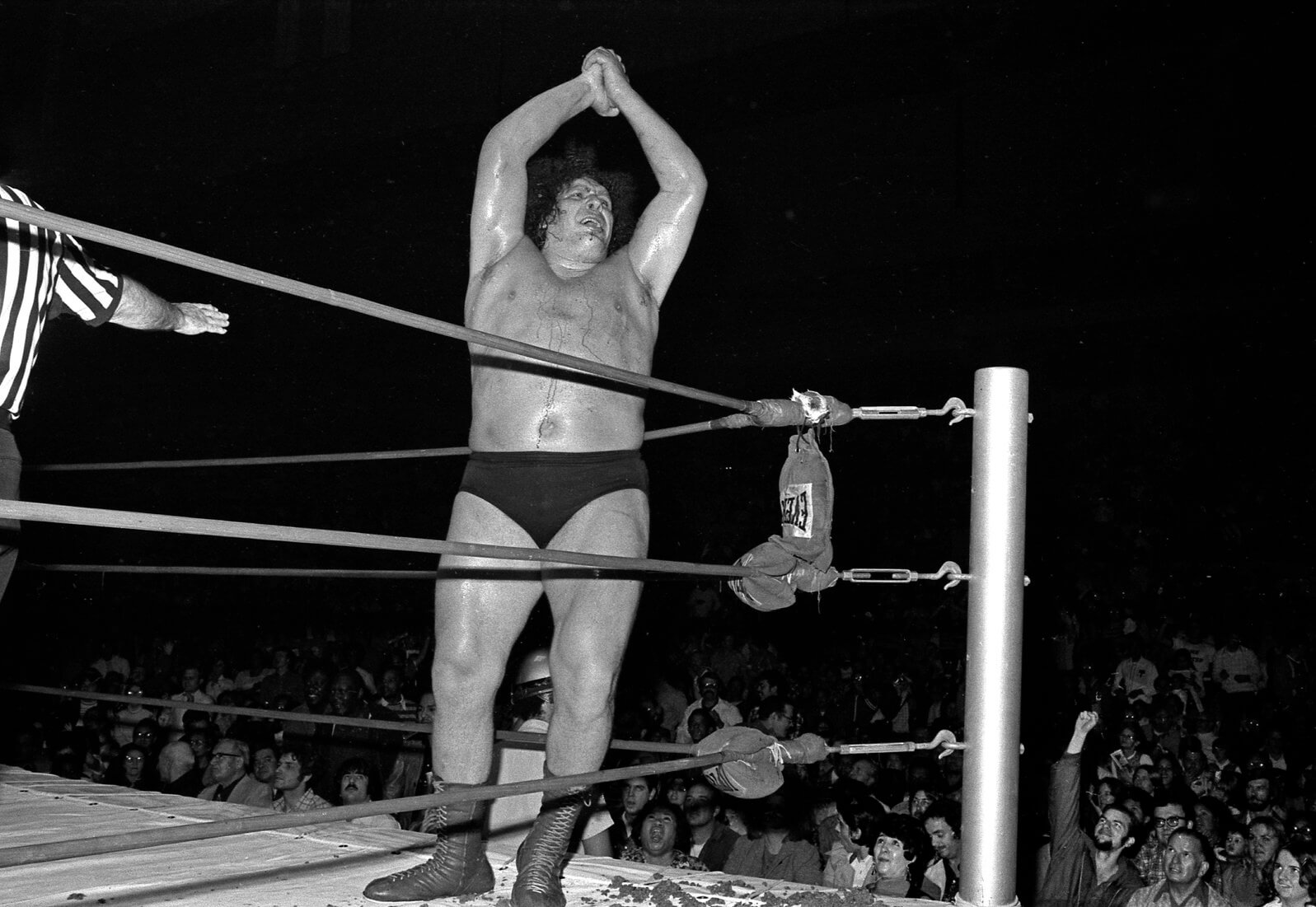 Andre the Giant in Ted Pushinsky's <em>Fightin' and Dancin'</em> series.