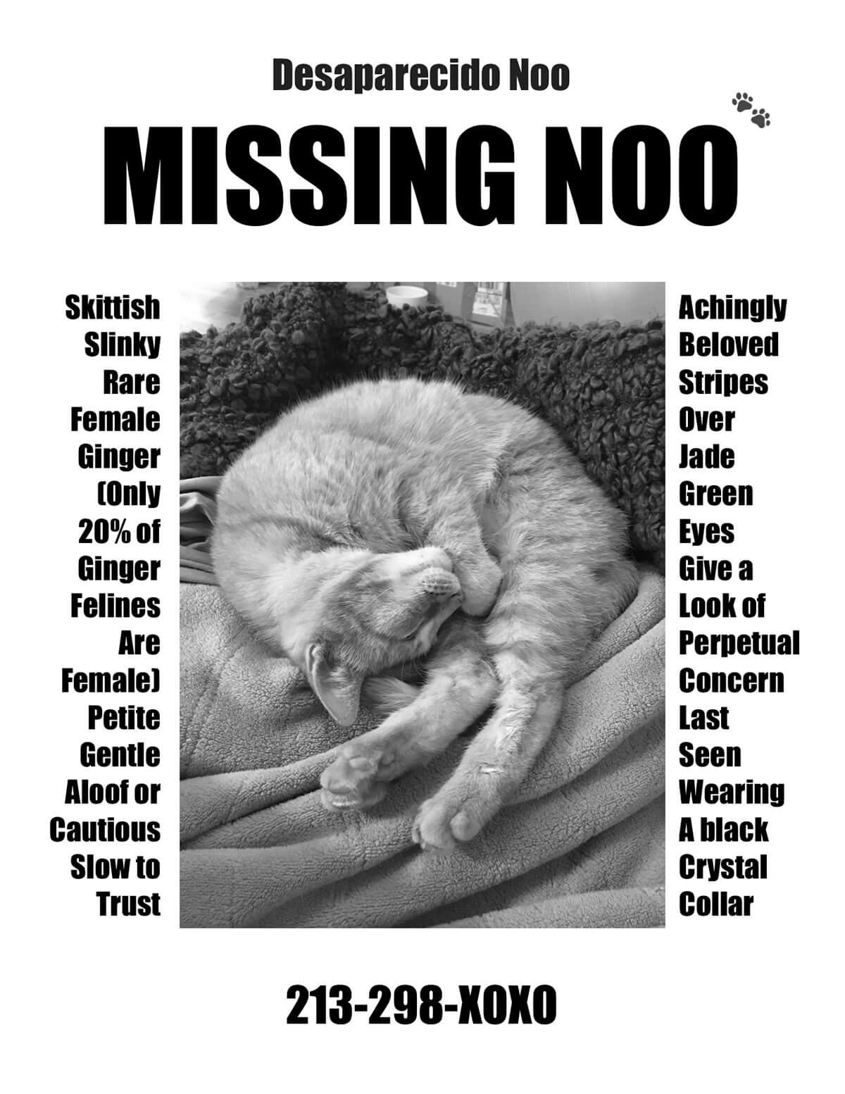 The author's Missing Noo flier.