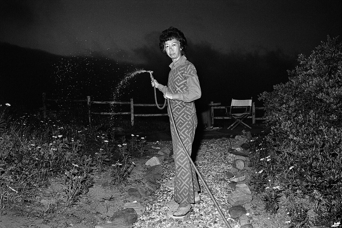 Michael Jang, <em>Lucy Watering at Night</em>, 1973.