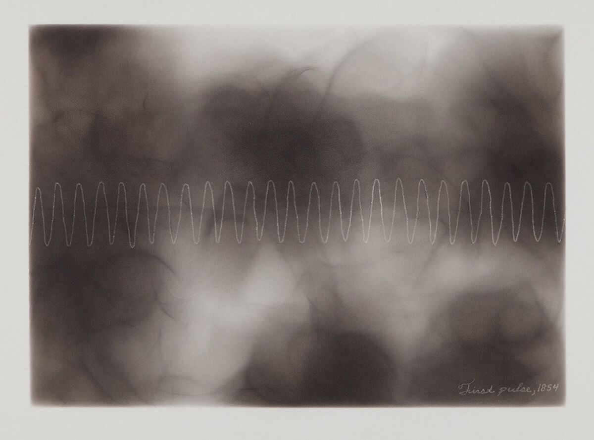 Dario Robleto, <em>The First Time, the Heart (First Pulse, 1854)</em>, 2017.