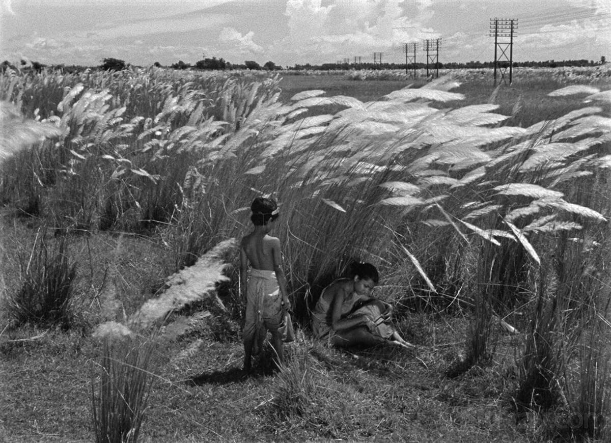 Satyajit Ray’s <em>Pather Panchali</em>. 