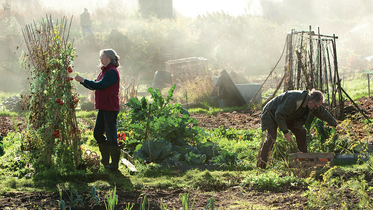 Mike Leigh's <em>Another Year</em>.